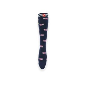 FP Painkillers Graphic Skate Socks