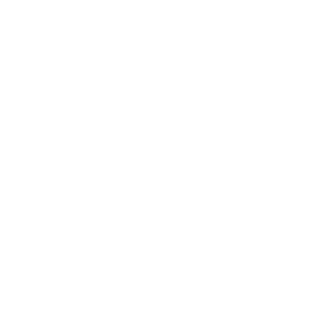 FP Insoles