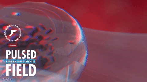 FP Pulsed Electromagnetic Field | PEMF - Image 5